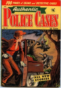 Authenic Police Cases #28